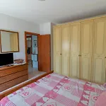 House Of Camellias - Ground Floor With Garden