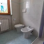 House Of Camellias - Ground Floor With Garden Апартаменты Besozzo