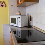 Appartement House Of Camellias - Ground Floor With Garden *