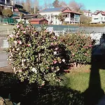 House Of Camellias - Ground Floor With Garden *