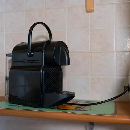 Appartement House Of Camellias - Ground Floor With Garden