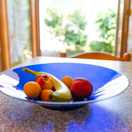 House Of Camellias - Ground Floor With Garden *