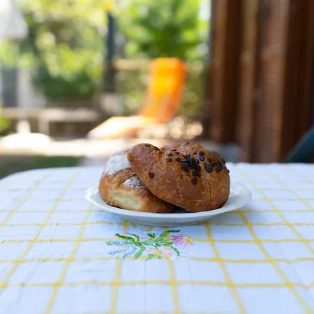 Appartement House Of Camellias - Ground Floor With Garden *