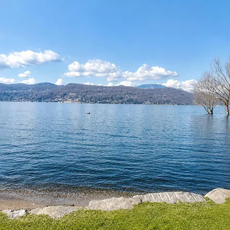 Apartament House Of Camellias - Ground Floor With Garden *