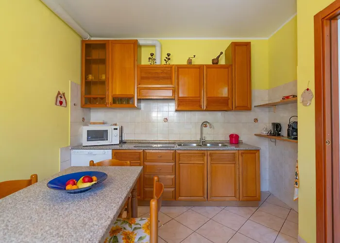 House Of Camellias - Ground Floor With Garden Apartament *