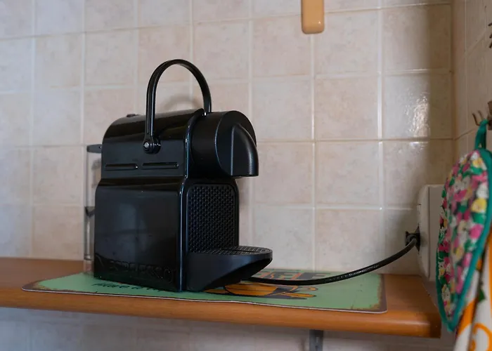 Apartament House Of Camellias - Ground Floor With Garden