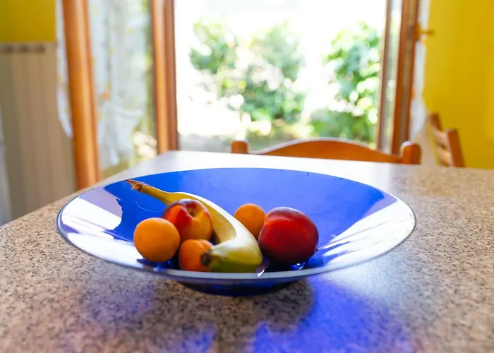 House Of Camellias - Ground Floor With Garden *