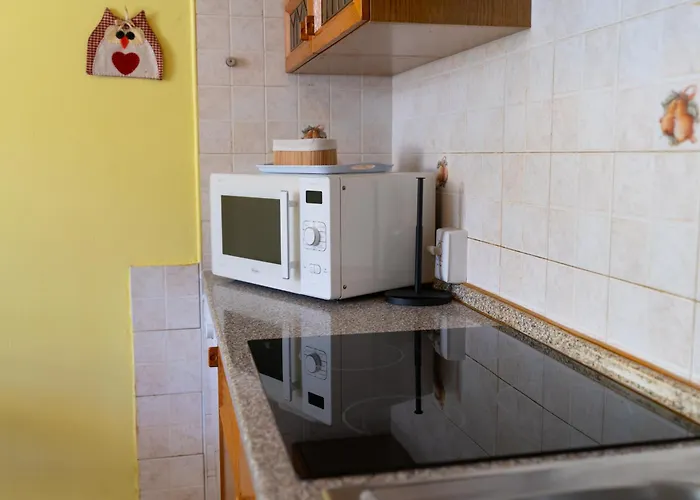 Apartament House Of Camellias - Ground Floor With Garden *