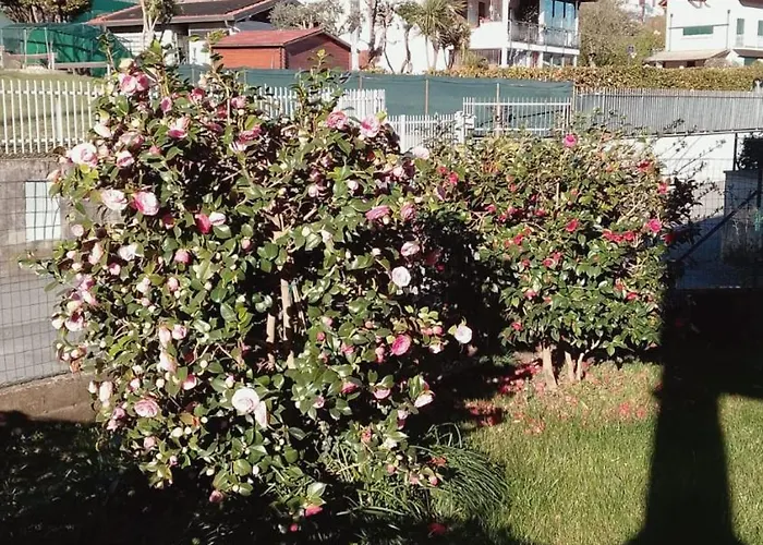 House Of Camellias - Ground Floor With Garden *