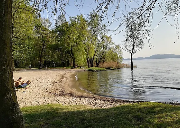 House Of Camellias - Ground Floor With Garden * Besozzo