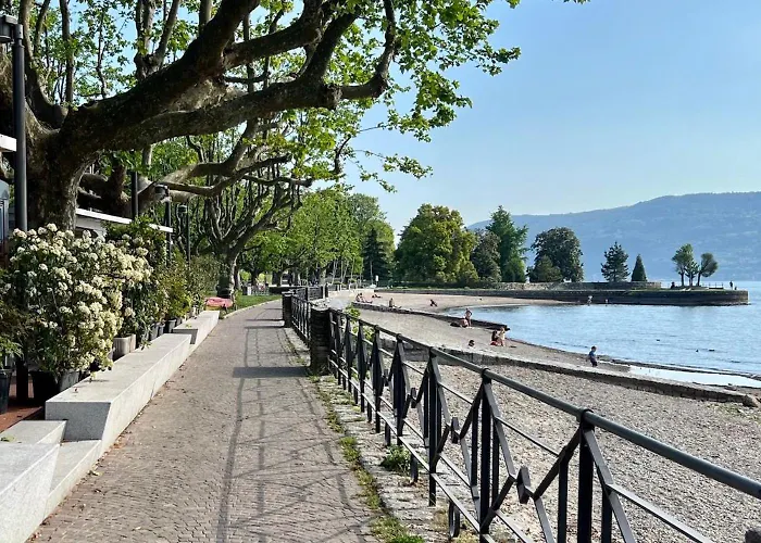 House Of Camellias - Ground Floor With Garden Appartement