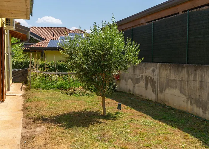 House Of Camellias - Ground Floor With Garden