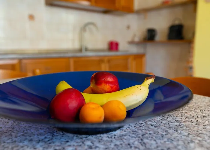 House Of Camellias - Ground Floor With Garden アパート